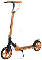 Ricos Shine JSCM6698 ()