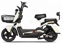 SHTENLI Model 21 Performance Pro