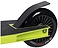 NOVATRACK 100P.WOLF.BGN24