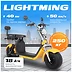 Zeus Lightning ()