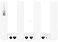 Huawei AX3 WS7100