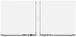 Apple Macbook Pro 14" M2 Pro 2023 (MPHE3)