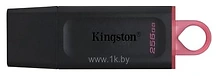 Kingston DataTraveler Exodia 256GB